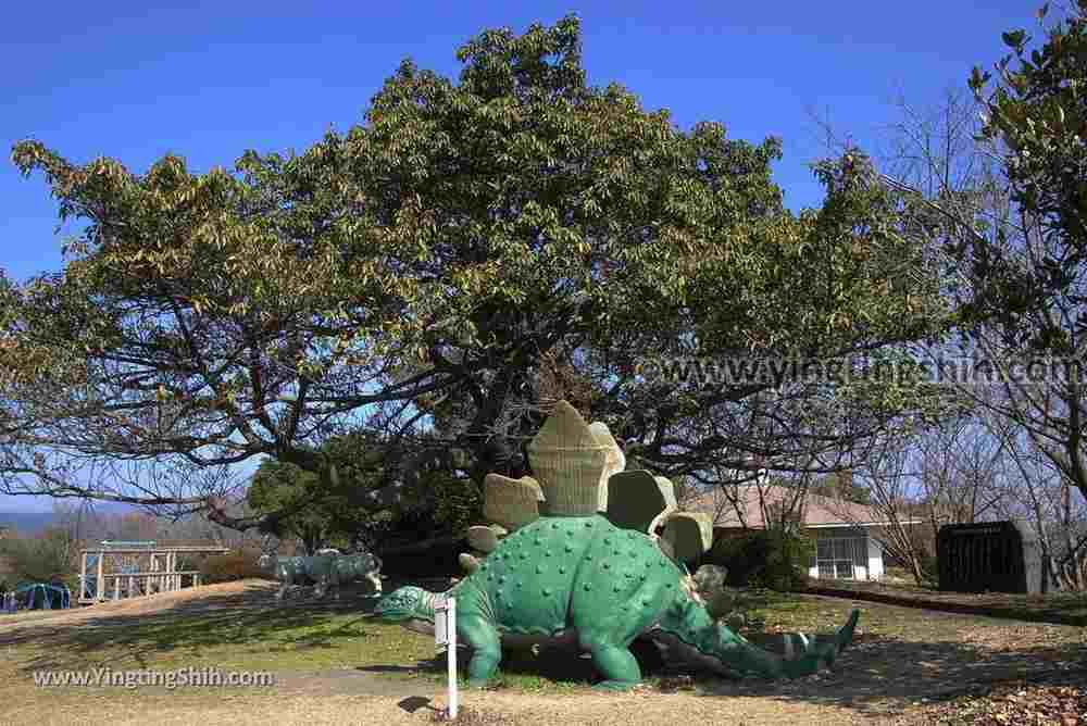YTS_YTS_20190124_日本九州鹿兒島櫻島自然恐龍公園Japan Kyushu Kagoshima Sakurajima Nature Dinosaur Park040_3A5A5338.jpg