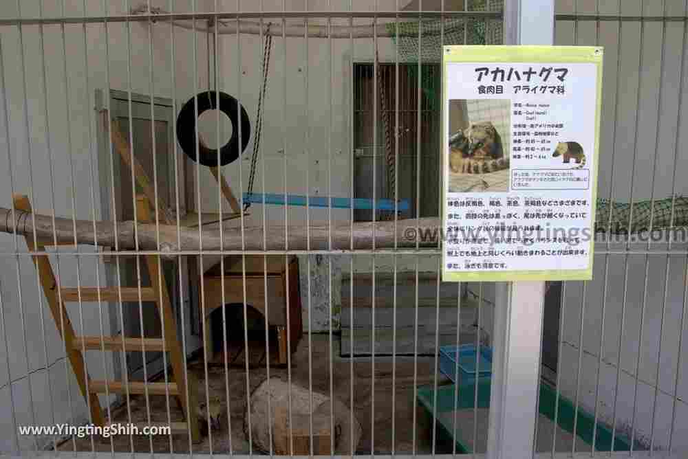 YTS_YTS_20180718_Japan Wakayama Park Zoo日本和歌山公園動物園（水禽園 ）／和歌山城童話園019_3A5A6528.jpg