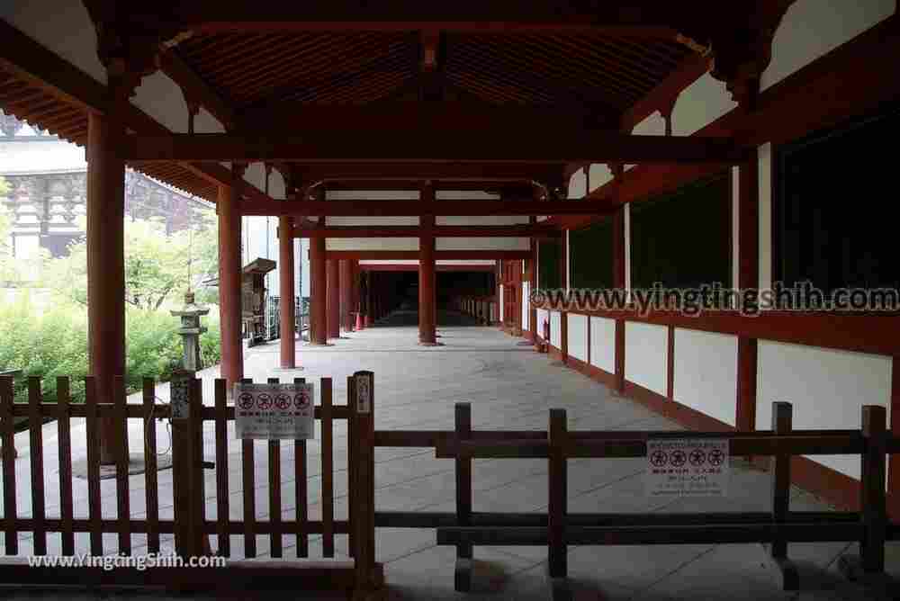YTS_YTS_20180717_Japan Kansai Nara Todai-ji日本關西奈良東大寺／世界文化遺產179_3A5A9545.jpg