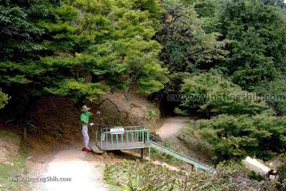 YTS_YTS_20180712_Japan Kyoto Arashiyama Monkey Park Iwatayama 日本京都嵐山猴子公園056_3A5A1305.jpg