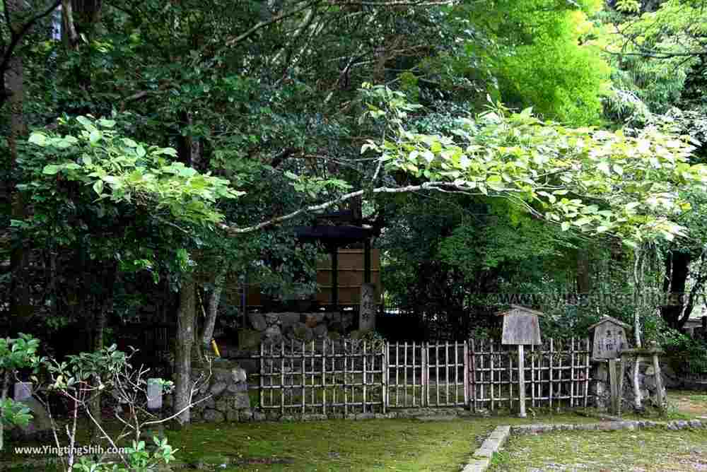 YTS_YTS_20180712_Japan Tyoko Arashiyama Hōrin-ji Temple／Dendengu 日本京都虚空蔵法輪寺（漆寺）／電電宮／電電寶塔011_3A5A9467.jpg