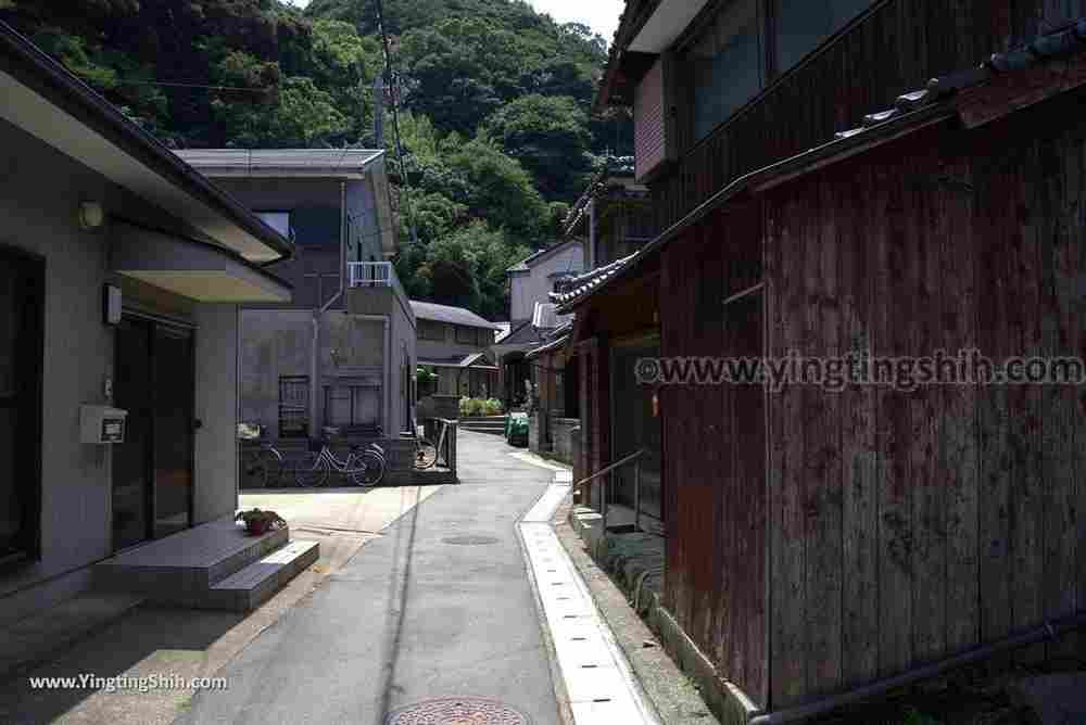 YTS_YTS_20180818_Japan Kyushu Nagasaki Habitat of Giant Mottled Eels日本九州長崎大鰻生息地／國指定天然記念物009_3A5A5761.jpg
