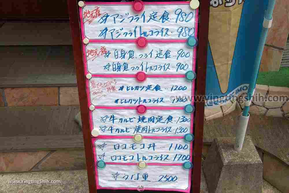 YTS_YTS_20180818_Japan Kyushu Nagasaki Habitat of Giant Mottled Eels日本九州長崎大鰻生息地／國指定天然記念物014_3A5A6060.jpg