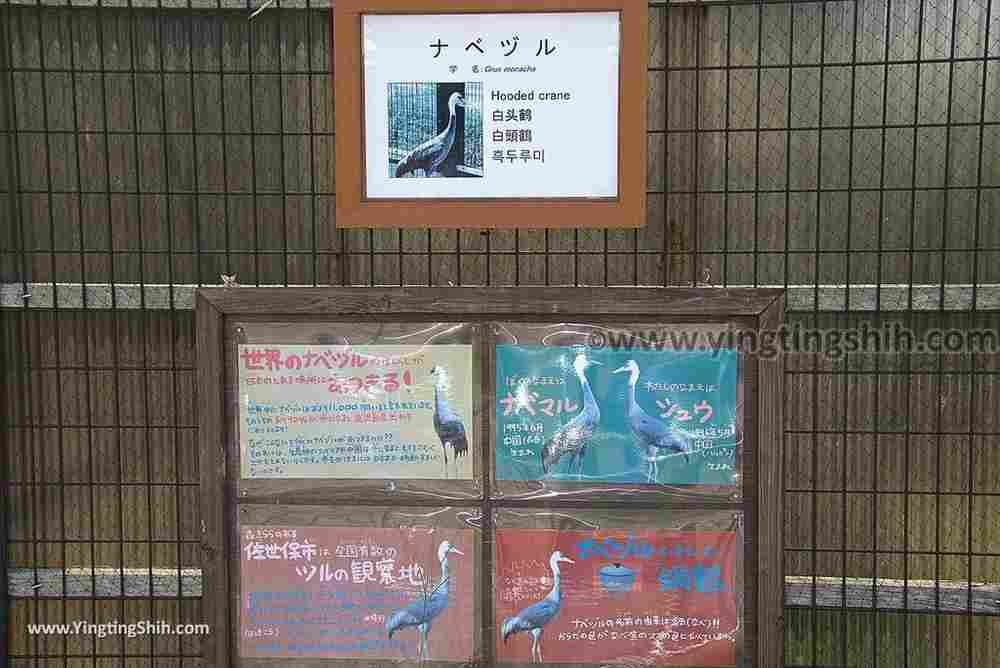 YTS_YTS_20180815_Japan Nagasaki Sasebo Zoological Park and Botanical Garden日本長崎佐世保九十九島動植物園森閃閃／日本最大天井水槽企鵝館041_3A5A3592.jpg