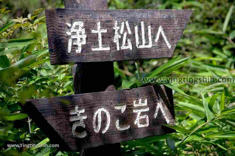 YTS_YTS_20190813_日本東北福島蘑菇岩／浄土松公園Japan Tohoku Fukushima Mushroom Rock／Jodomatsu Park080_539A0552.jpg