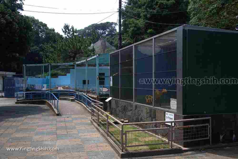 YTS_YTS_20180718_Japan Wakayama Park Zoo日本和歌山公園動物園（水禽園 ）／和歌山城童話園043_3A5A6703.jpg