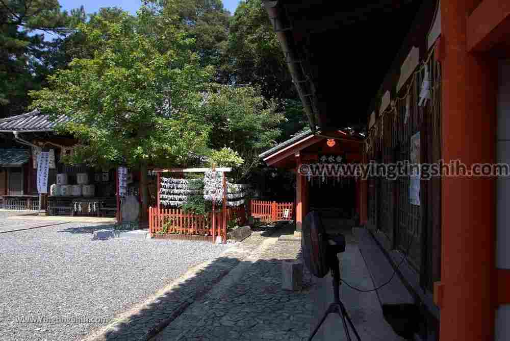 YTS_YTS_20180719_Japan Kansai Wakayama Kishu Toshogu Shrine日本關西（近畿）和歌山紀州東照宮033_3A5A3199.jpg