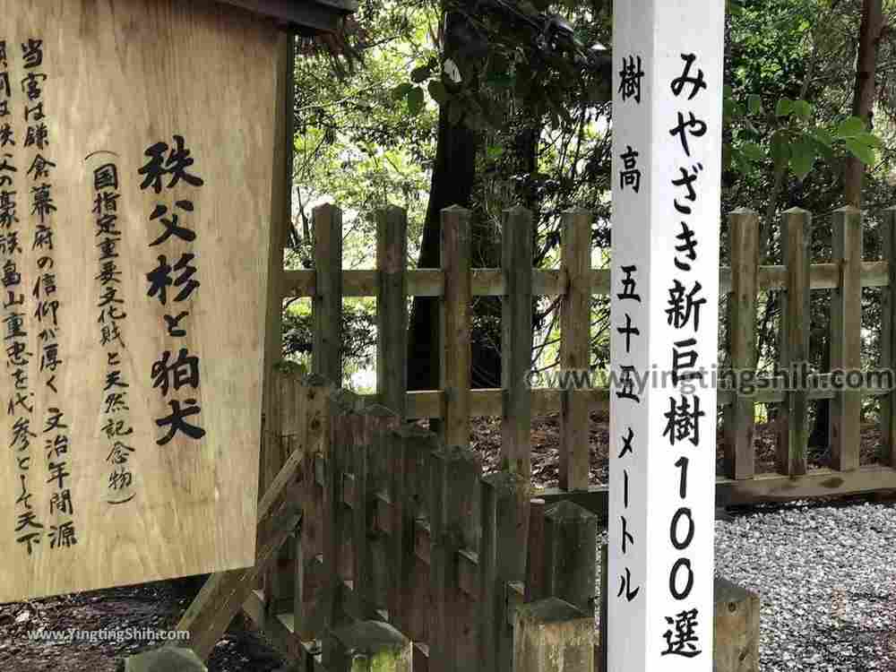 YTS_YTS_20190201_日本九州宮崎高千穂神社Japan Kyushu Miyazaki Takachiho Shrine073_IMG_3112.jpg