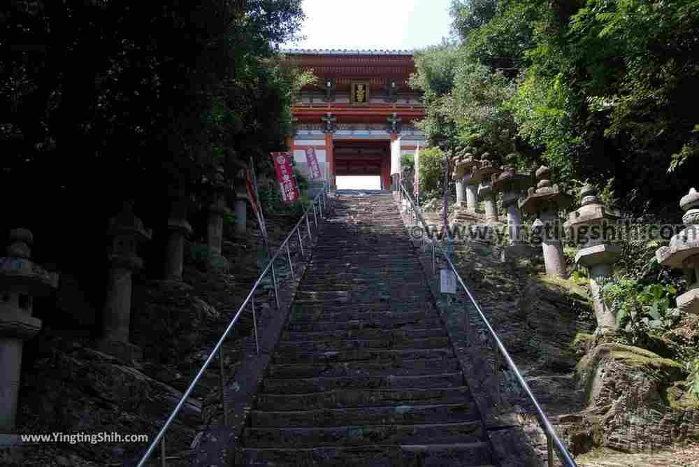 YTS_YTS_20180719_Japan Kansai Wakayama Kishu Toshogu Shrine日本關西（近畿）和歌山紀州東照宮025_3A5A3137.jpg