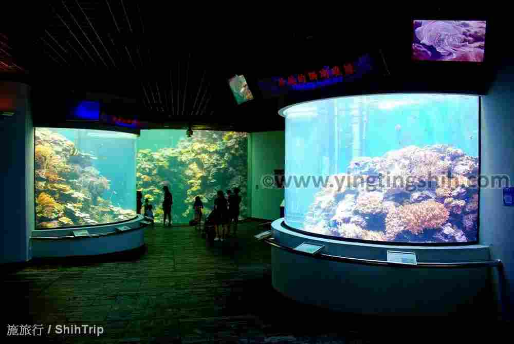 YTS_YTS_20210813_屏東車城國立海洋生物博物館035.jpg