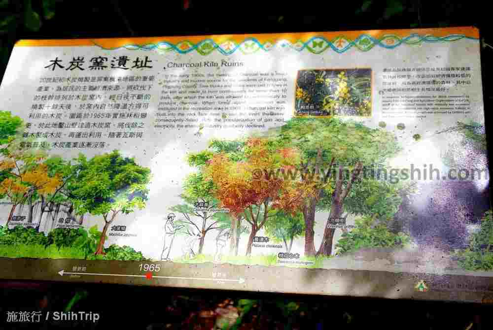 YTS_YTS_20210719_屏東獅子雙流國家森林遊樂區073.jpg