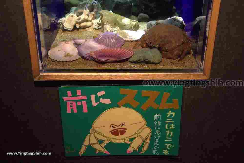 YTS_YTS_20180820_Japan Nagasaki Sasebo Kujukushima Aquarium Umi-kirara日本長崎佐世保九十九島水族館／日本最大水母交嚮樂廳078_3A5A3207.jpg