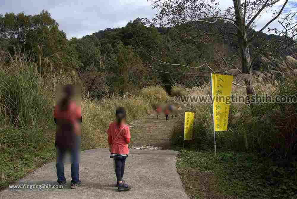 YTS_YTS_20190105_桃園復興塔曼山登山步道Taoyuan Fuxing Tamanshan Hiking Trail034_3A5A3402.jpg