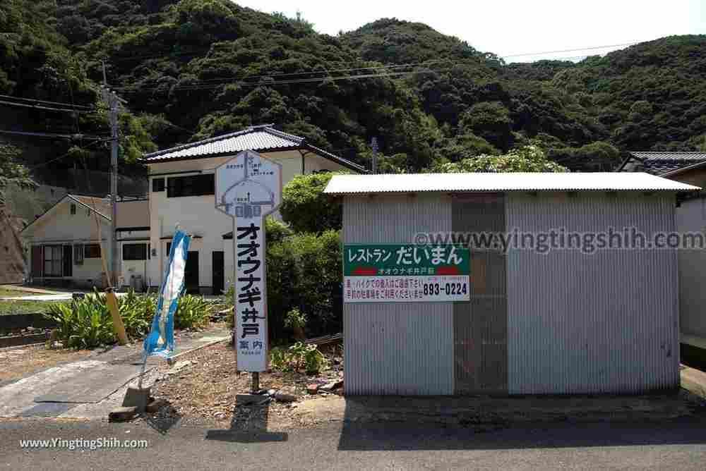 YTS_YTS_20180818_Japan Kyushu Nagasaki Habitat of Giant Mottled Eels日本九州長崎大鰻生息地／國指定天然記念物002_3A5A5738.jpg