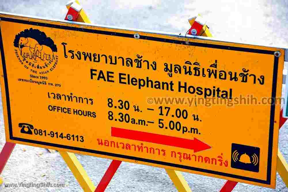 YTS_YTS_20200205_泰國南邦大象醫院Thailand Lampang FAE006_539A7818.jpg