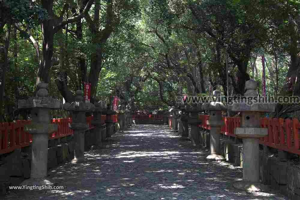 YTS_YTS_20180719_Japan Kansai Wakayama Kishu Toshogu Shrine日本關西（近畿）和歌山紀州東照宮015_3A5A3044.jpg