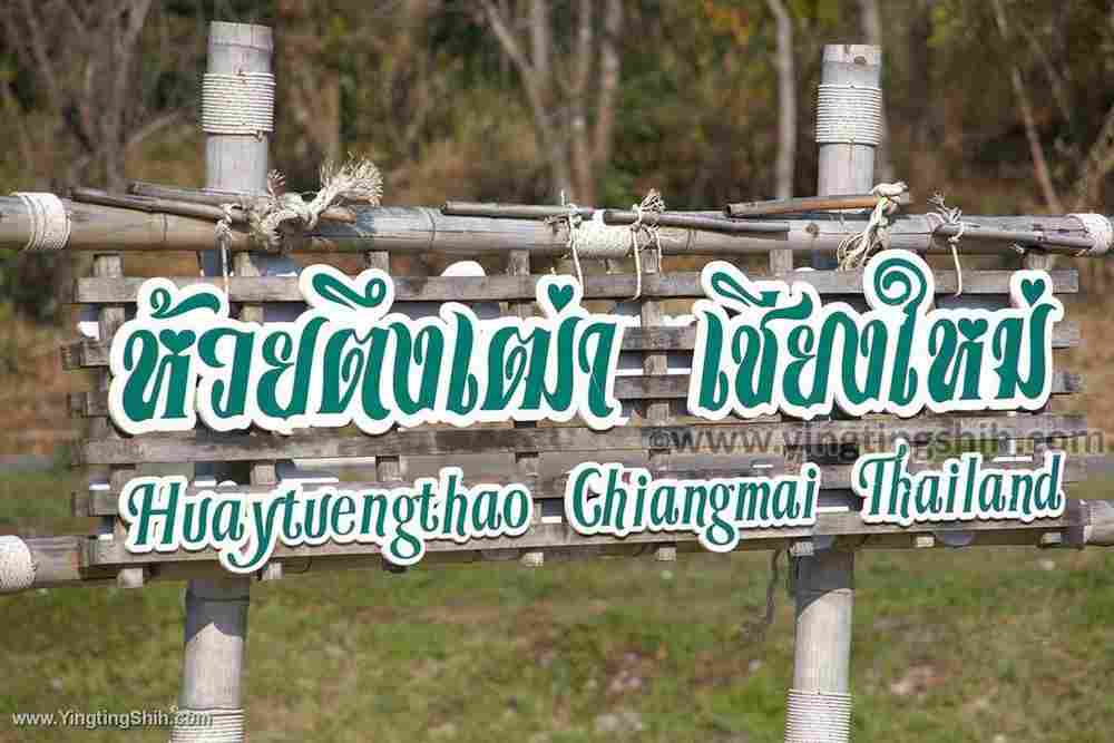 YTS_YTS_20200204_泰國清邁會東陶湖Thailand Chiang Mai100_539A7745.jpg