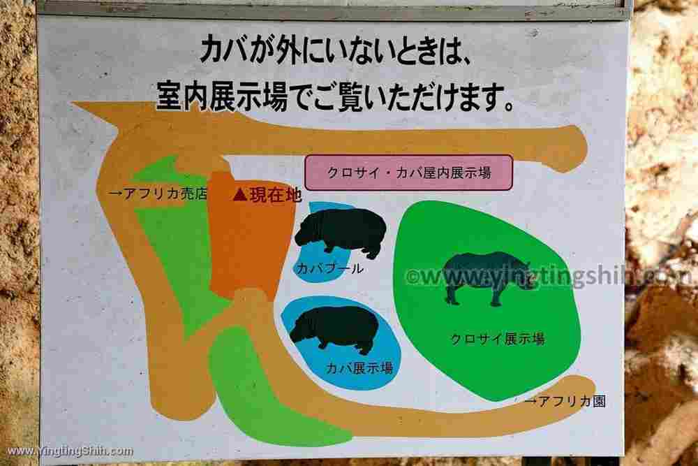 YTS_YTS_20190822_日本東北宮城仙台市八木山動物公園Japan Tohoku Miyagi414_539A0215.jpg
