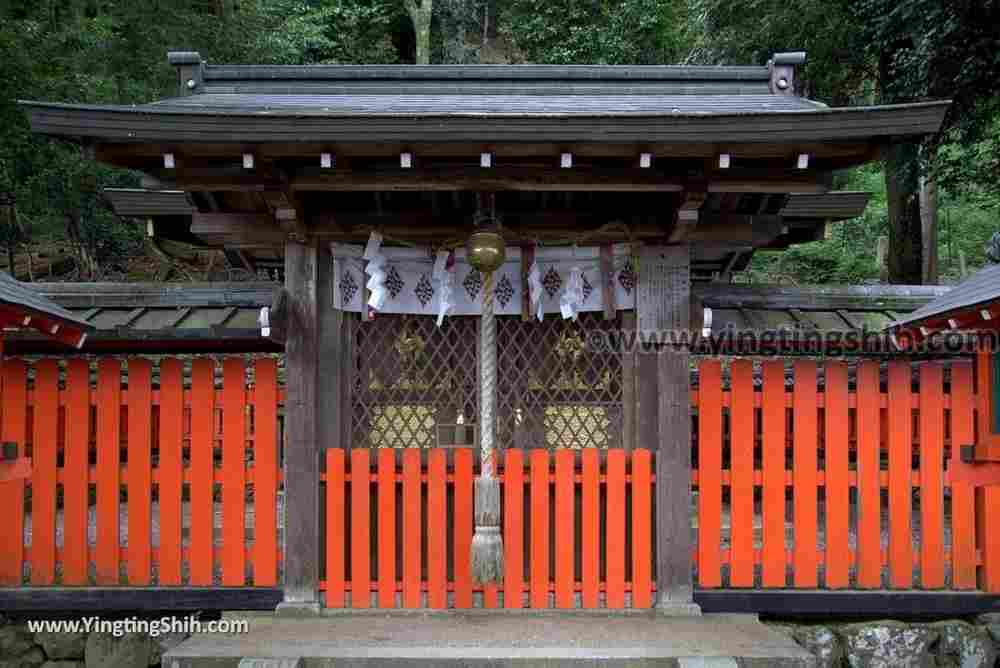 YTS_YTS_20180712_Japan Kyoto Arashiyama Monkey Park Iwatayama 日本京都嵐山猴子公園012_3A5A9589.jpg