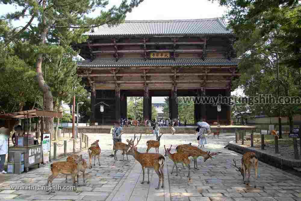 YTS_YTS_20180717_Japan Kansai Nara Todai-ji日本關西奈良東大寺／世界文化遺產029_3A5A7212.jpg
