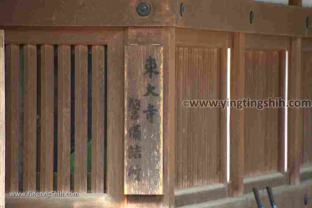 YTS_YTS_20180717_Japan Kansai Nara Todai-ji日本關西奈良東大寺／世界文化遺產085_3A5A7945.jpg