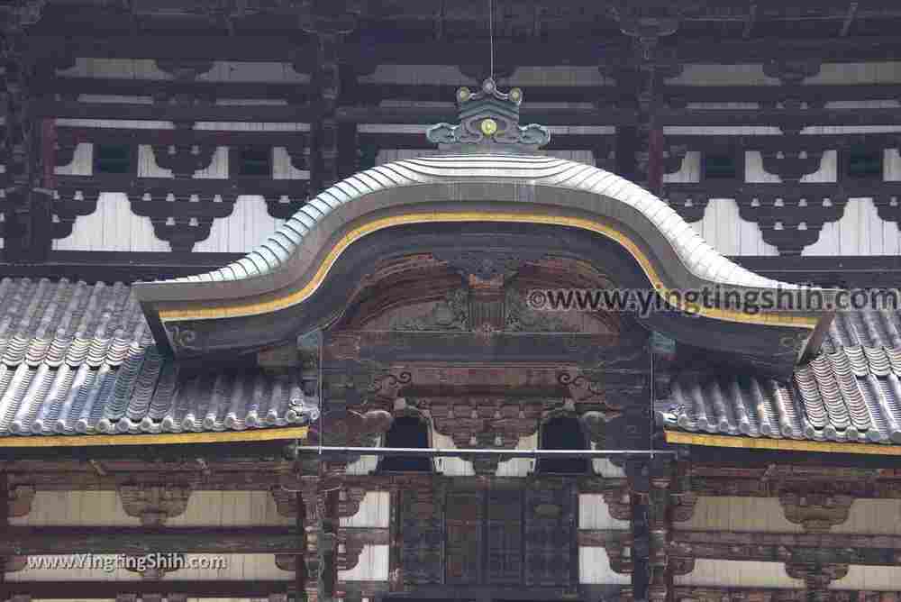 YTS_YTS_20180717_Japan Kansai Nara Todai-ji日本關西奈良東大寺／世界文化遺產098_3A5A8099.jpg