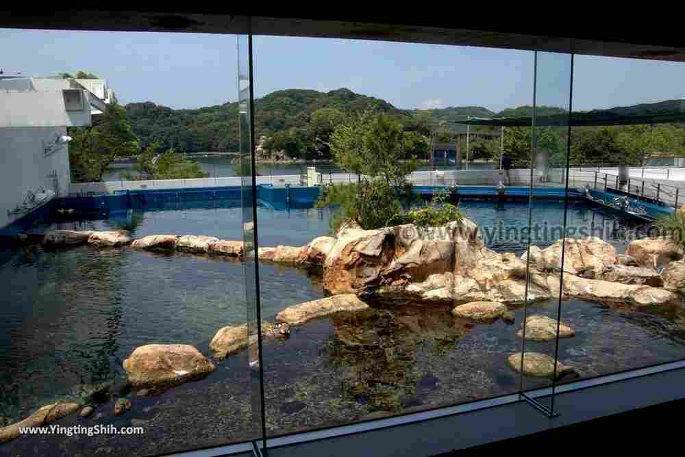 YTS_YTS_20180820_Japan Nagasaki Sasebo Kujukushima Aquarium Umi-kirara日本長崎佐世保九十九島水族館／日本最大水母交嚮樂廳130_3A5A5511.jpg