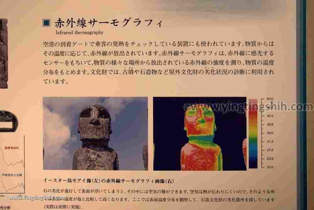 YTS_YTS_20180715_Japan Nara Palace Site Museum日本奈良平城宮跡資料館／奈良文化財研究所／考古科學101_3A5A7080.jpg