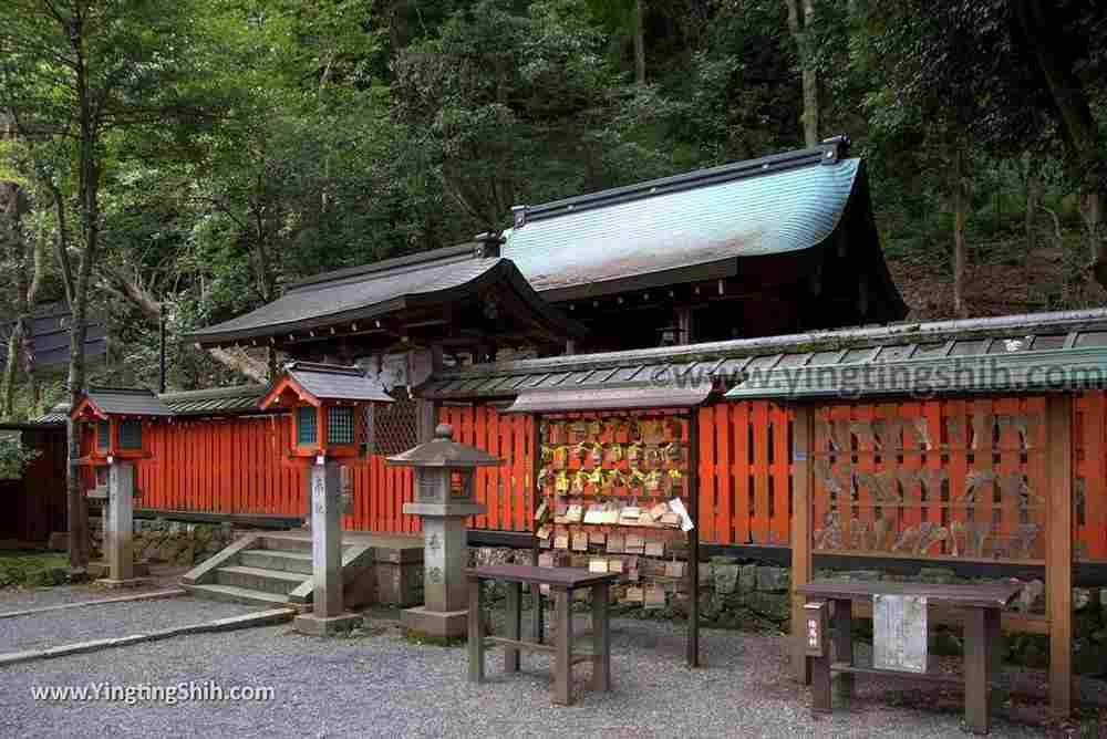 YTS_YTS_20180712_Japan Kyoto Arashiyama Monkey Park Iwatayama 日本京都嵐山猴子公園009_3A5A9586.jpg