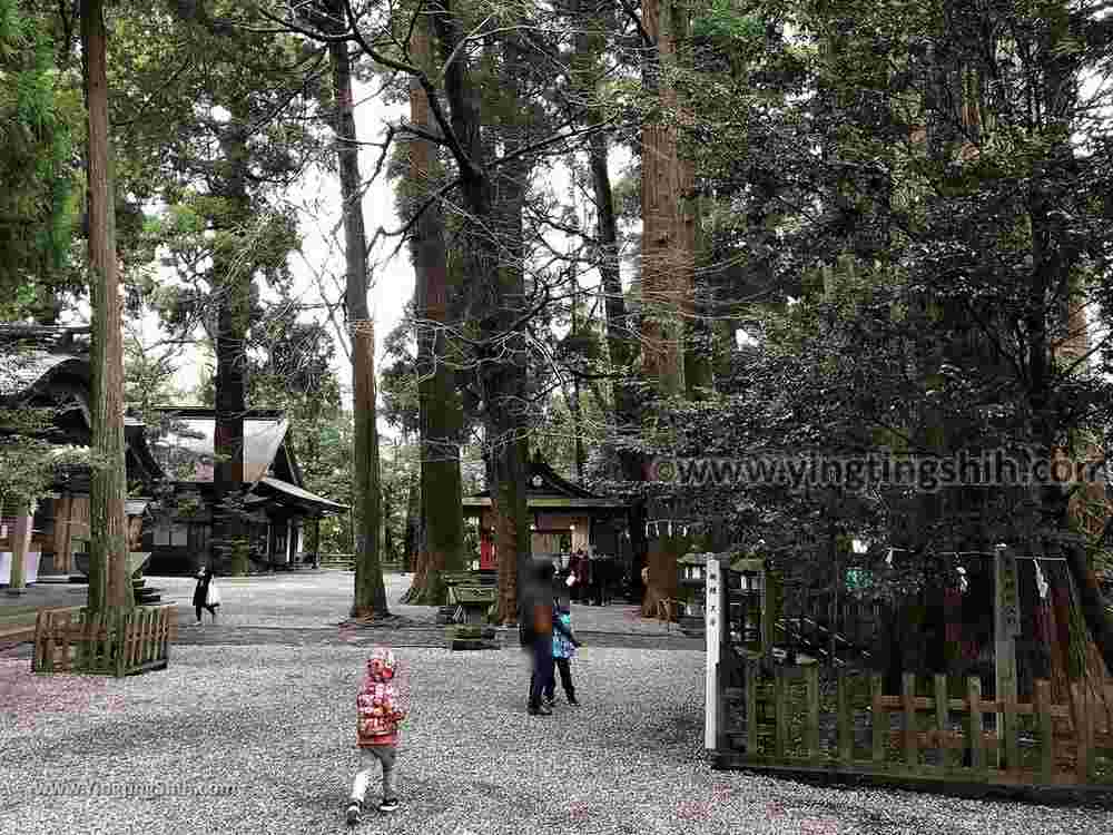 YTS_YTS_20190201_日本九州宮崎高千穂神社Japan Kyushu Miyazaki Takachiho Shrine071_IMG_3106.jpg