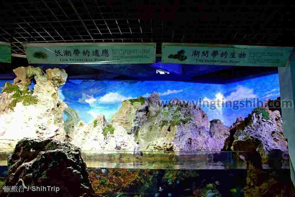 YTS_YTS_20210813_屏東車城國立海洋生物博物館106.jpg