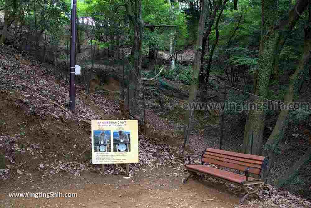 YTS_YTS_20180712_Japan Kyoto Arashiyama Monkey Park Iwatayama 日本京都嵐山猴子公園037_3A5A9820.jpg