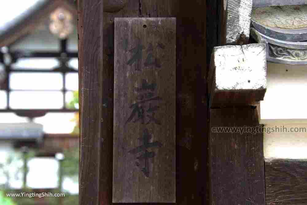 YTS_YTS_20180711_Japan Tyoko Arashiyama Tenryu-ji Temple Sogenchi Garden 日本京都天龍寺／曹源池／世界文化遺產／嵐山045_3A5A8041.jpg