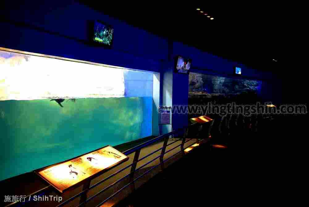 YTS_YTS_20210813_屏東車城國立海洋生物博物館206.jpg