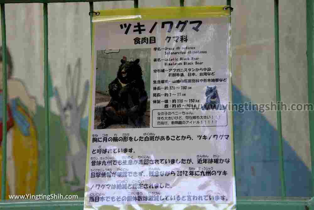 YTS_YTS_20180718_Japan Wakayama Park Zoo日本和歌山公園動物園（水禽園 ）／和歌山城童話園002_3A5A6262.jpg