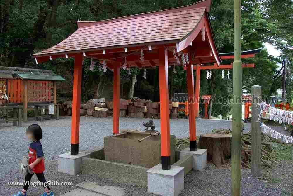 YTS_YTS_20180712_Japan Kyoto Arashiyama Monkey Park Iwatayama 日本京都嵐山猴子公園007_3A5A9573.jpg