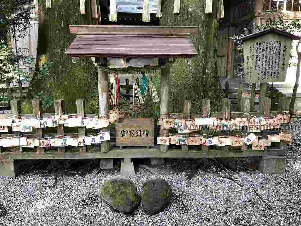 YTS_YTS_20190201_日本九州宮崎高千穂神社Japan Kyushu Miyazaki Takachiho Shrine065_IMG_3116.jpg