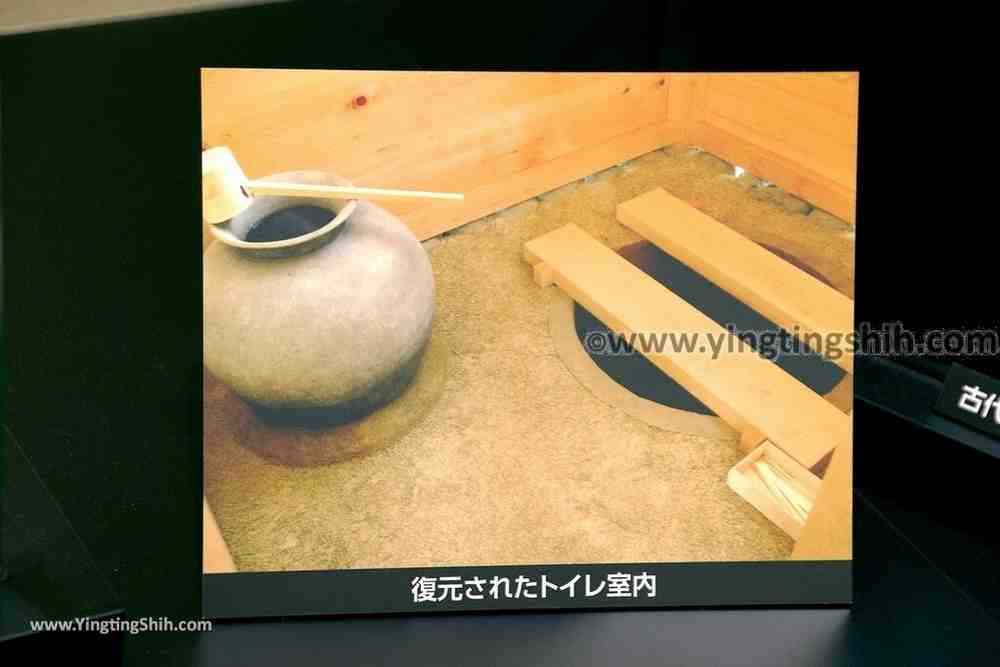 YTS_YTS_20190719_日本東北秋田秋田城跡歴史資料館Japan Tohoku Akita Fort Ruins Historical Data Museum096_539A1279.jpg