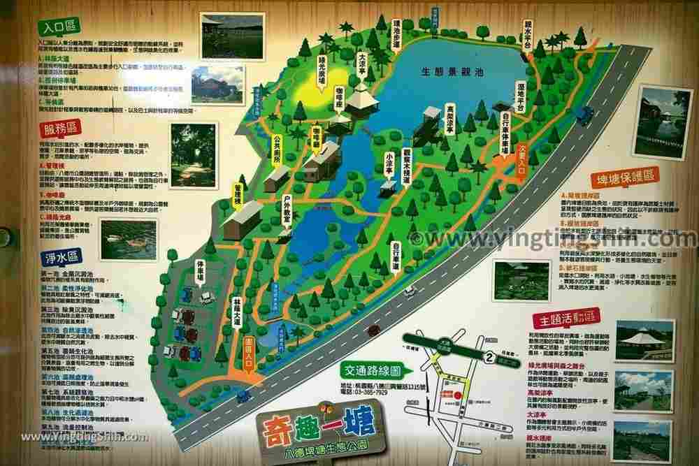 YTS_YTS_20190204_桃園八德埤塘生態公園／TINA廚房Taoyuan Bade Pond Ecology Park115_539A7734.jpg