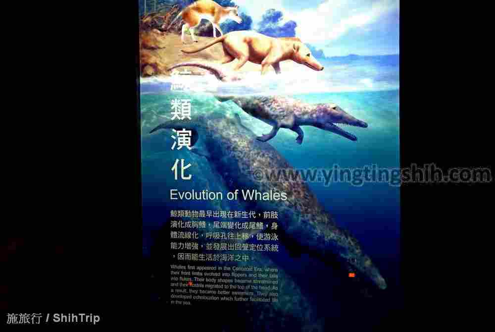 YTS_YTS_20210813_屏東車城國立海洋生物博物館163.jpg