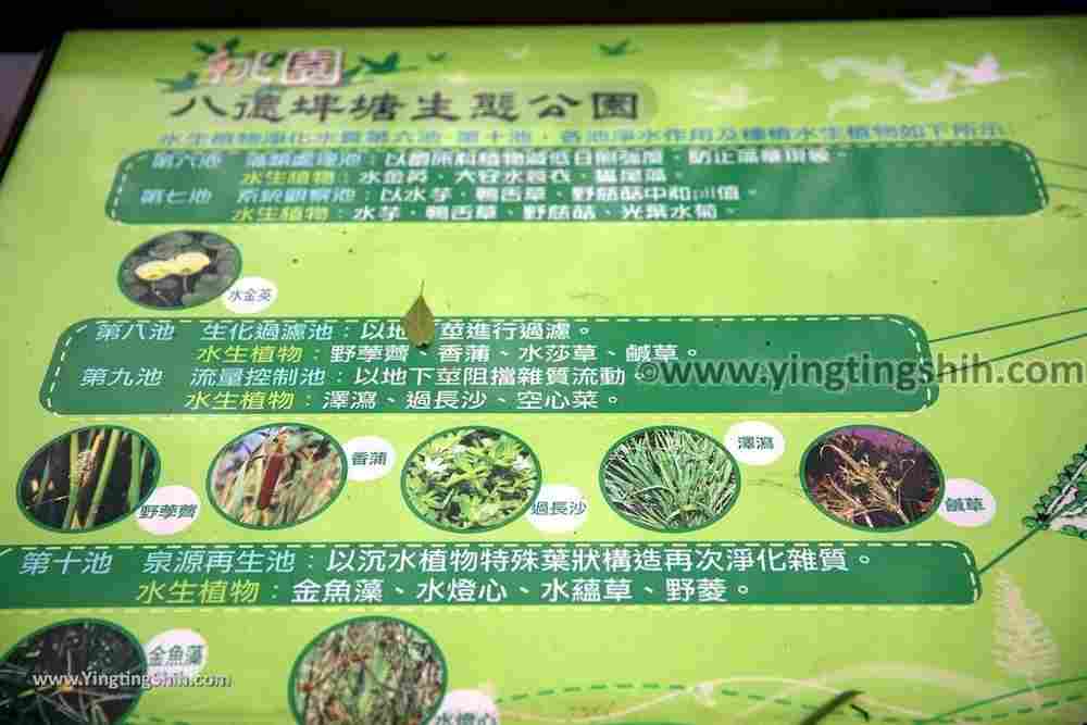 YTS_YTS_20190204_桃園八德埤塘生態公園／TINA廚房Taoyuan Bade Pond Ecology Park020_539A7386.jpg