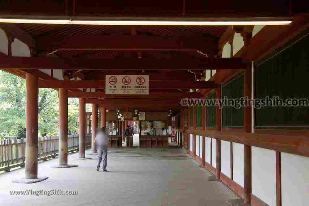 YTS_YTS_20180717_Japan Kansai Nara Todai-ji日本關西奈良東大寺／世界文化遺產120_3A5A8335.jpg