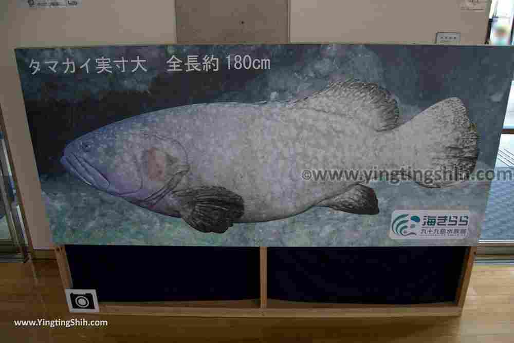 YTS_YTS_20180820_Japan Nagasaki Sasebo Kujukushima Aquarium Umi-kirara日本長崎佐世保九十九島水族館／日本最大水母交嚮樂廳030_3A5A2262.jpg