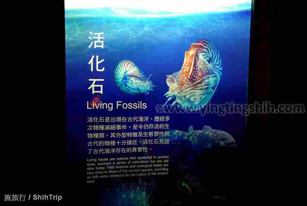 YTS_YTS_20210813_屏東車城國立海洋生物博物館166.jpg