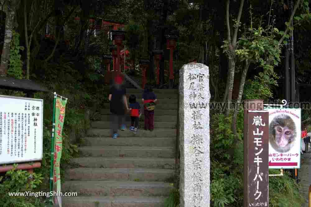 YTS_YTS_20180712_Japan Kyoto Arashiyama Monkey Park Iwatayama 日本京都嵐山猴子公園005_3A5A9549.jpg