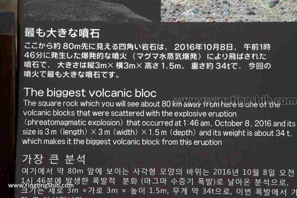 YTS_YTS_20180814_Japan Kyushu Kumamoto Aso Volcano Naka Crater／Mt. Nakadake日本九州熊本阿蘇中岳火山口020_3A5A7974.jpg