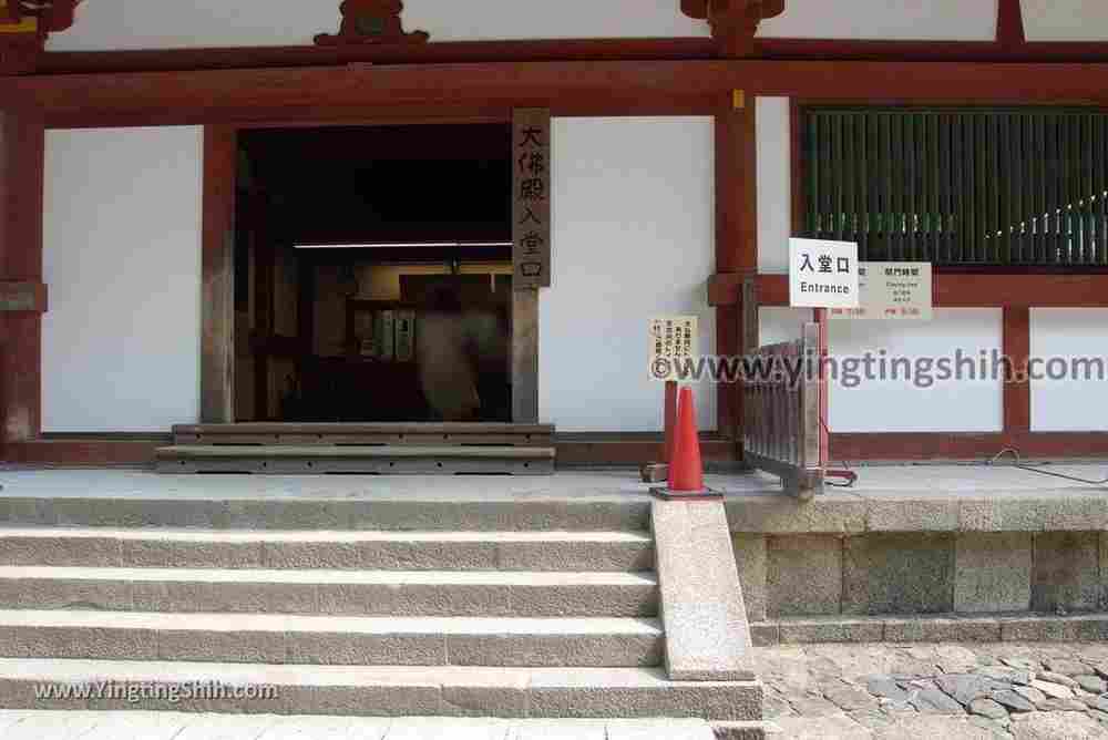 YTS_YTS_20180717_Japan Kansai Nara Todai-ji日本關西奈良東大寺／世界文化遺產110_3A5A8296.jpg