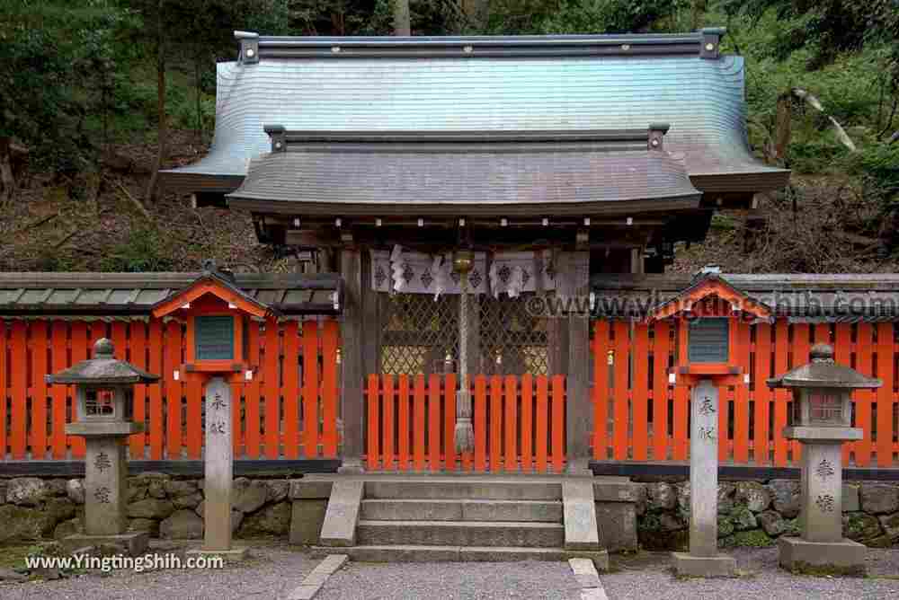 YTS_YTS_20180712_Japan Kyoto Arashiyama Monkey Park Iwatayama 日本京都嵐山猴子公園011_3A5A9570.jpg