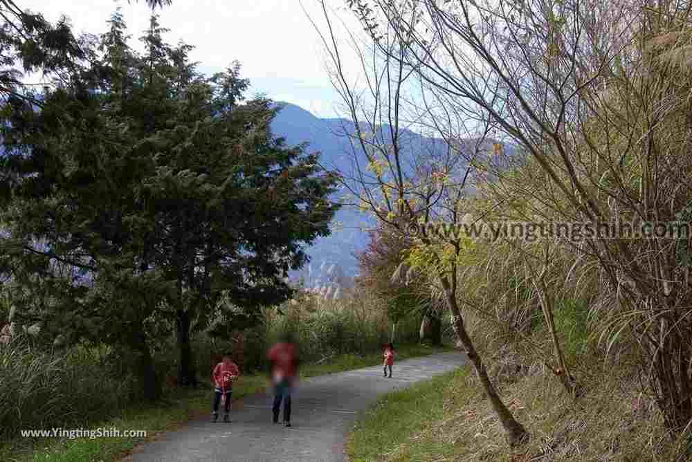 YTS_YTS_20190105_桃園復興塔曼山登山步道Taoyuan Fuxing Tamanshan Hiking Trail025_3A5A3297.jpg