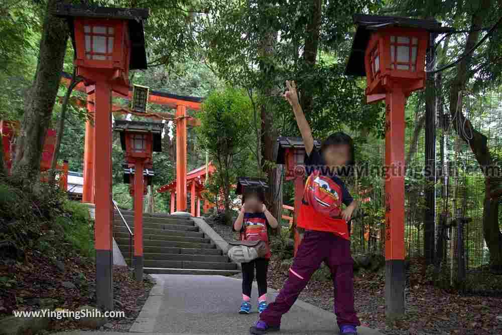 YTS_YTS_20180712_Japan Kyoto Arashiyama Monkey Park Iwatayama 日本京都嵐山猴子公園006_3A5A9556.jpg